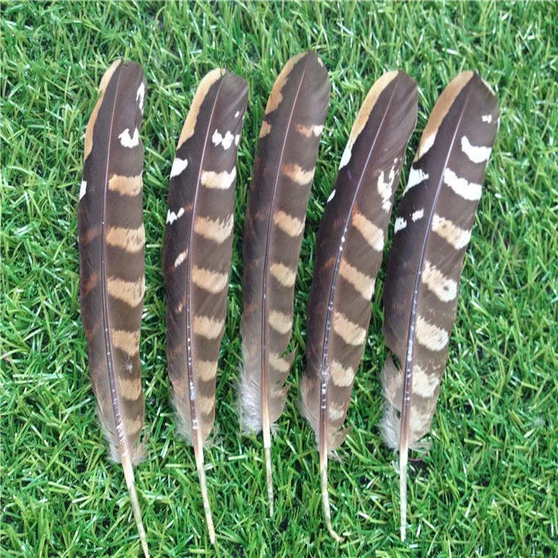 Wholesale, 200pcs beautiful Chicken wing feathers 15 20 cm / 6 8 inches