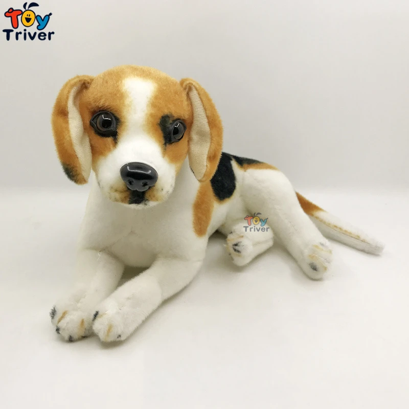 Beagle Animal En Peluche Chien Chiot Poupee Simulation De Chiens Modele Bebe Enfants Cadeau D Anniversaire Decor De Boutique A Domicile Aliexpress