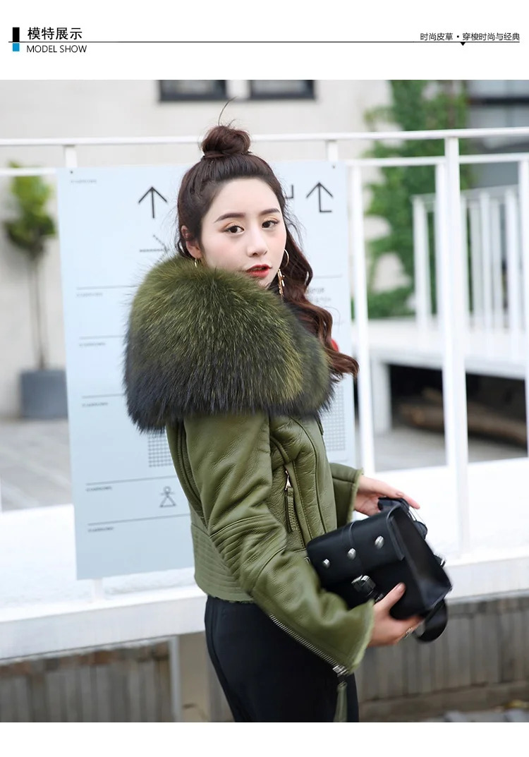 genuine sheepskin leather jacket with raccoon fur collar (8)