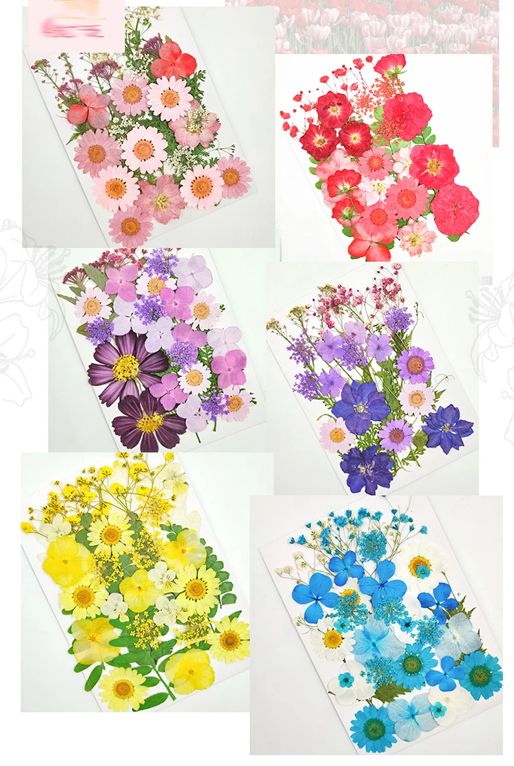 Маленькие сушеные цветы, прессованные цветы, сделай сам, консервированные цветы, украшение для дома, мини-цветы