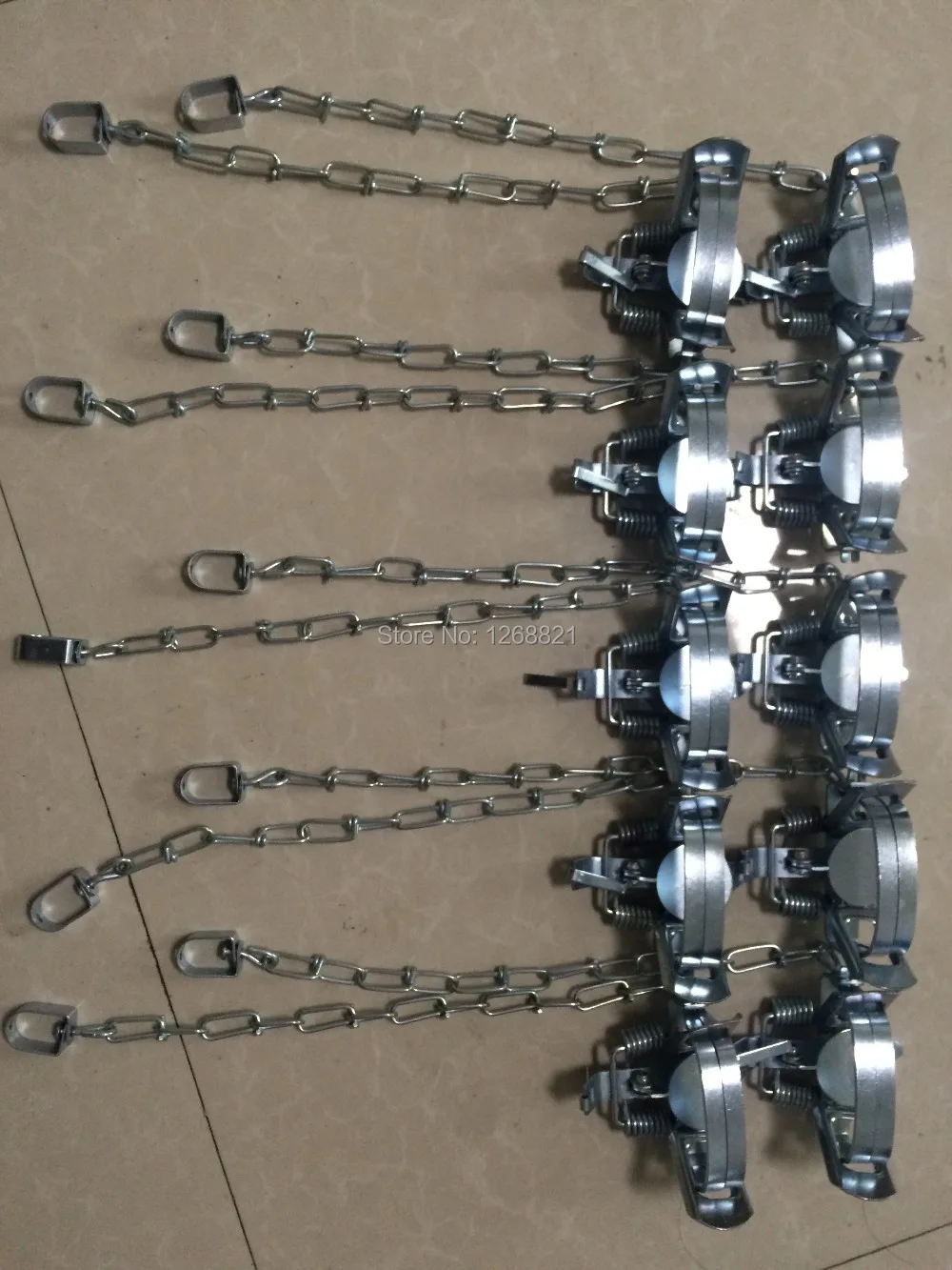 10 pcs of New Size 1 Coil spring trap 1 possum leg hold traps NZ