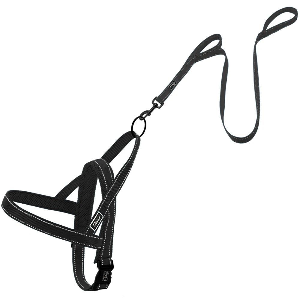 Dog Harness Leash 4 Dog Harness Leash 4