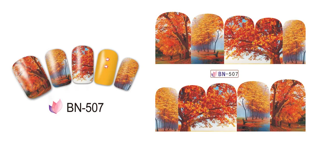 BN507