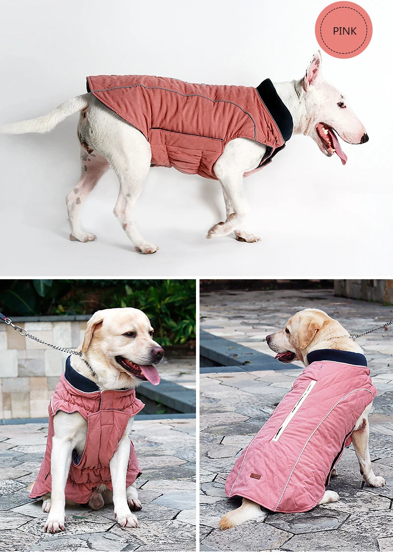 Pet Dog Clothes Winter (6)