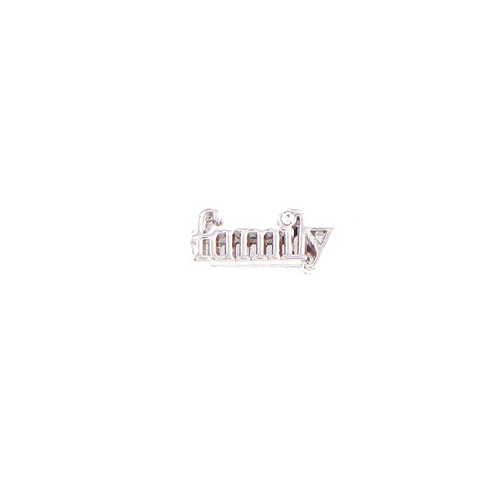 SANSHOOR ювелирные ключи семья слайд талисманы Хранитель подходит 10 мм Регулируемая Нержавеющая сталь сетка браслет для DIY аксессуары для изготовления - Окраска металла: Silver