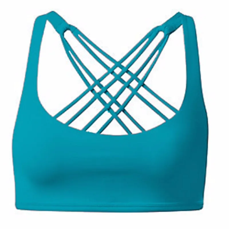 3401141491_506238324