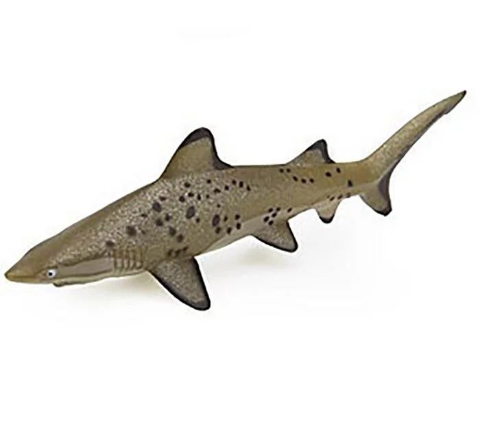 Original Japan genuine Sealife Animal Carcharias taurus Sand tiger