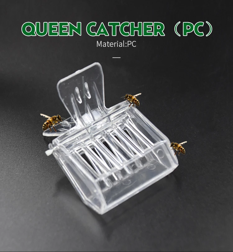 QC05详情_01