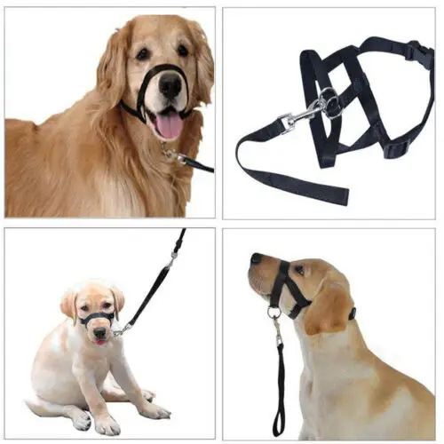 

Faroot Dog Muzzle Halti Style Head Collar Stops Pulling Halter Training Reigns Leashes
