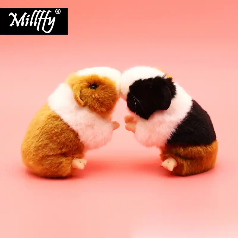 cuddly toy guinea pig