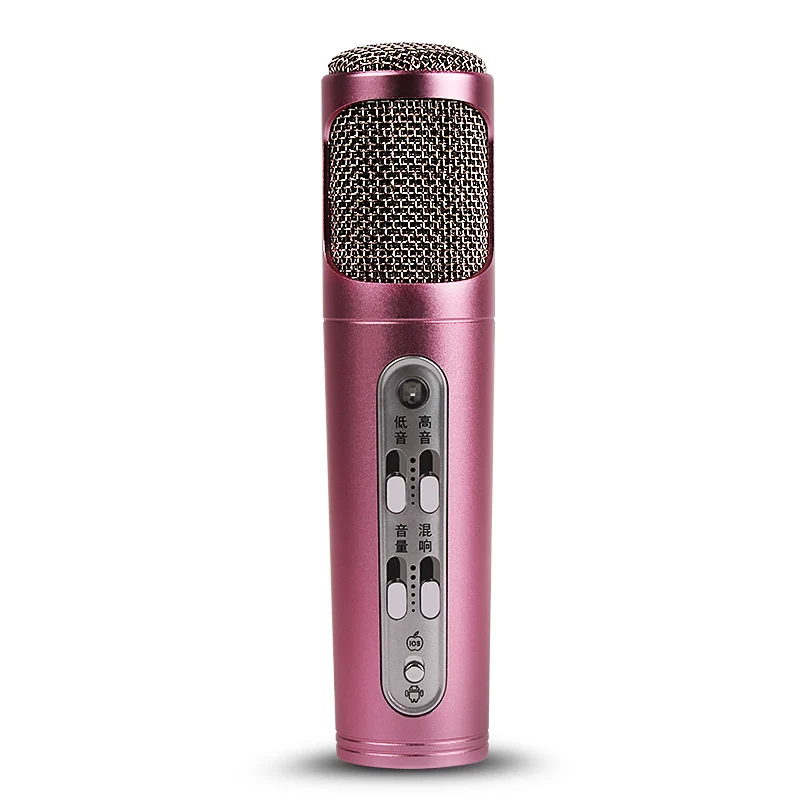 SikkiS Girl Mobile Computer Microphone Record Sing