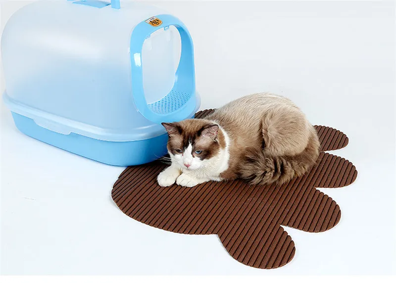 a cats06