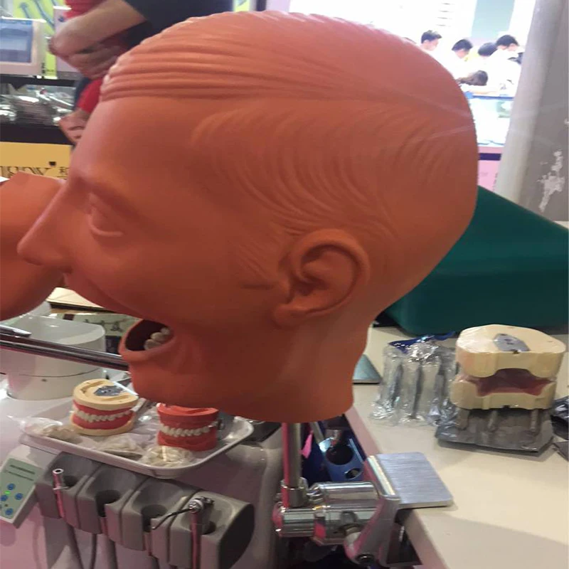 phantom head with drainage (2)