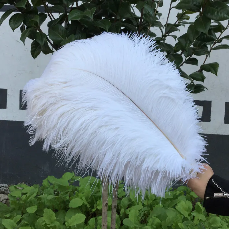 50 Pcs Natural Ostrich Feather 50 55 Cm 20 22 Inches Burung Unta