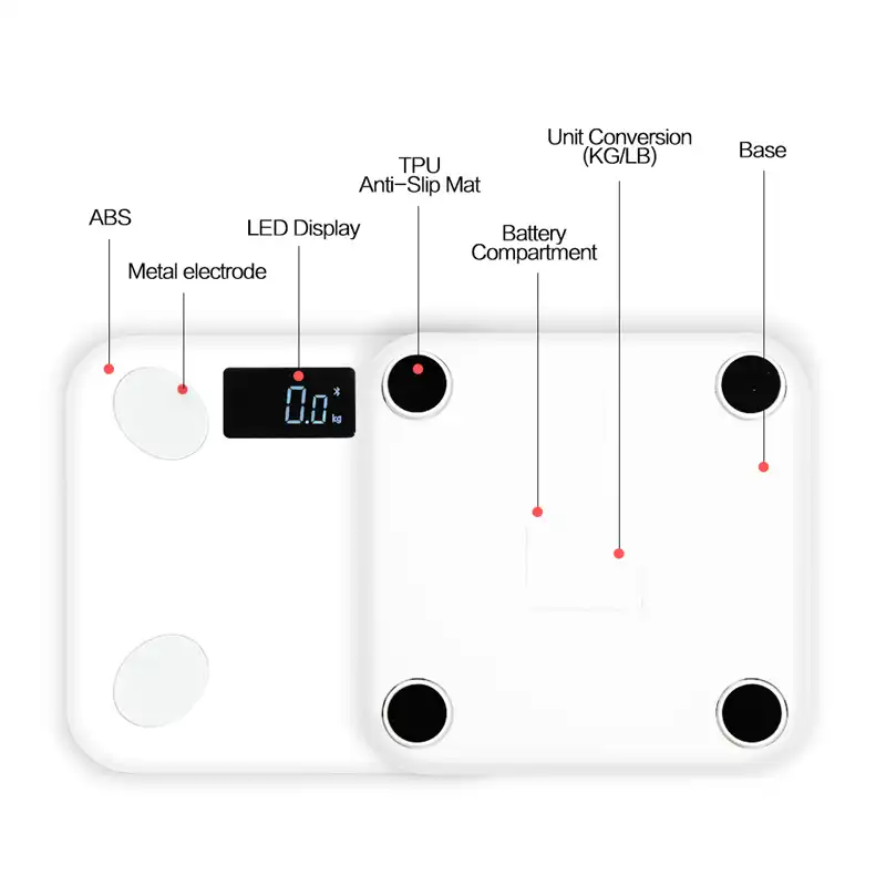 Detail Feedback Questions About Sdarisb Bluetooth Scales Floor Body
