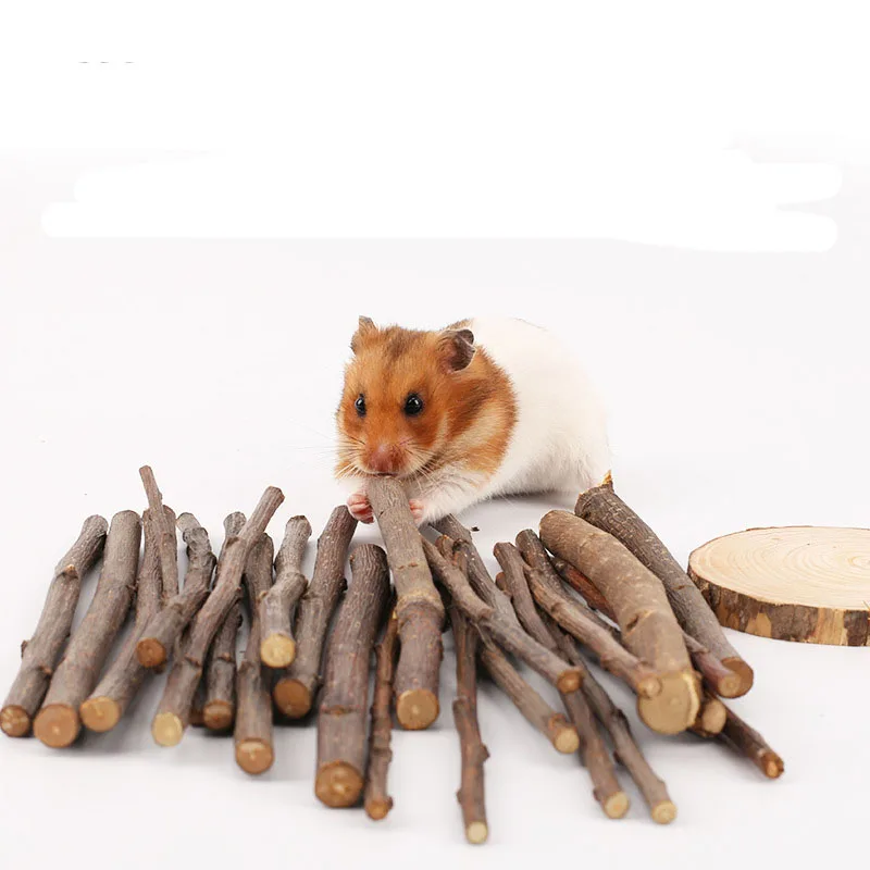 хомяк на ветке. палочки для джунгариков. палочки для домашних крыс. какие веточки можно давать хомяку. хомяк на ветке.