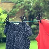 2pcs Plastic Bat Windproof Clothes Pegs Multipurpose Hanging Clips For Clothes Towels Socks Home Drying Clips 3
