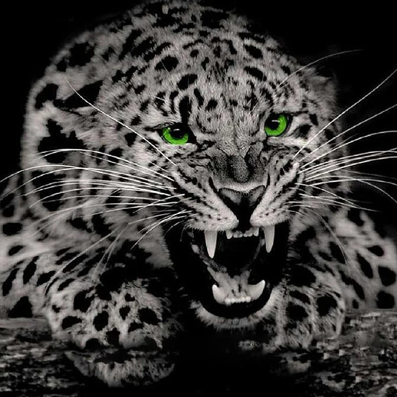 

5D Diy Diamond Painting Cross Stitch Leopard Animal Full Square Diamond Embroidery Rinestones Painting Diamond Mosaic Home Decor