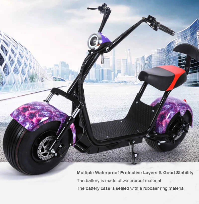 

Moto Scooter Factory on Sale Adult E-Bike Electric 1000W Lithium Battery with Double Backseat Brake Steering lamp Tail Light