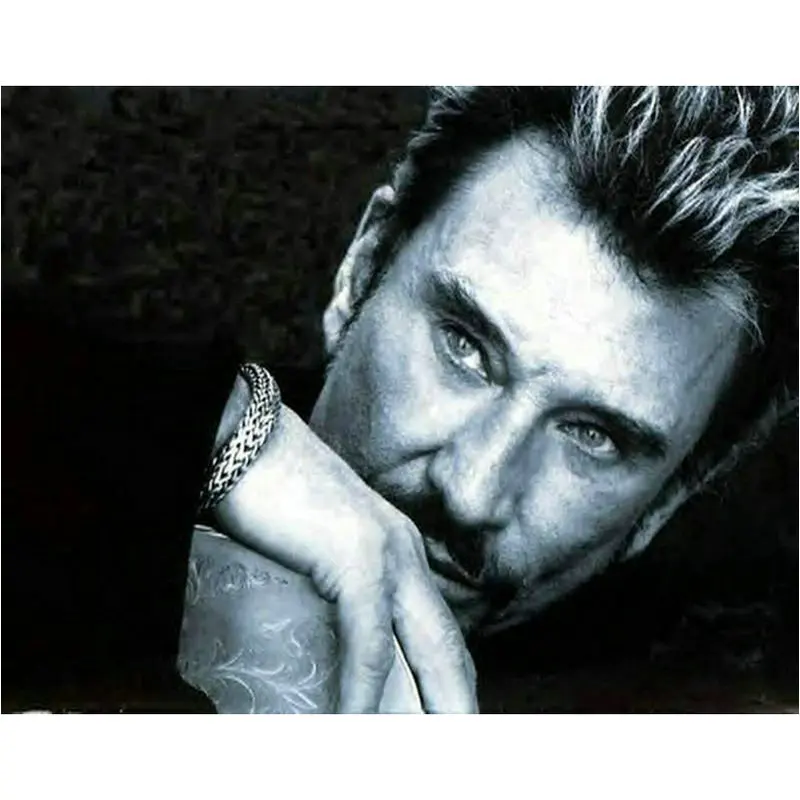 

Hot Full round 5d diamond painting johnny hallyday eagle icon full square drill diamond embroidery artwork french singer mosaic
