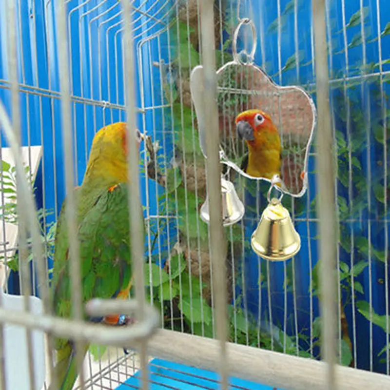 

3 Sizes Single Face Mirror Parrot Bird Toys Swing Bird Cage Toys With Bell Hanging Cage Toy For Parrot Cockatiel Birds