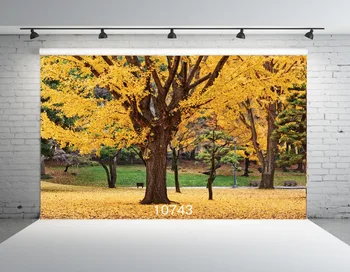 

SJOLOON autumn photography background fall forest leaves photo backdrops children photography background photo studio viny props