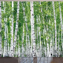 Шторы из березы, свежие зеленые листья, Летний лес, Сельский пейзаж, пышное экологическое изображение, окно для гостиной, спальни