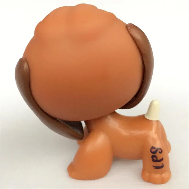61