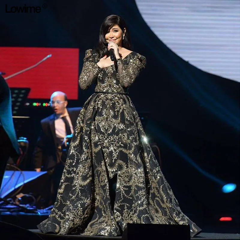 Popular 2018 Formal Celebrity Dresses A-line V-neck Embroidery Lace Long Evening Dresses Red Carpet Dresses (2)