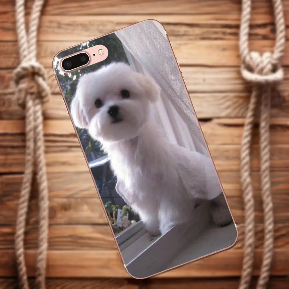 Putih Maltese Puppies Anjing Kasus Tpu Aksesoris Untuk Xiao Mi Mi
