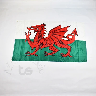 Британский Великобритания, шотландская Англия, Ирландия 90*150 флаг баннер 3x5 футов висящий Национальный флаг дома - Цвет: Wales