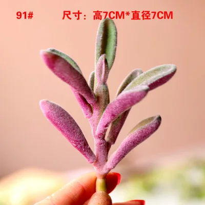 91