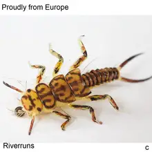 Riverruns реалистичные мухи каменная Нимфа форель мух цветов УФ супер крепкая мух