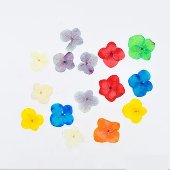 

120pcs Pressed Dried Absorbed Dyed Hydrangea Macrophylla Flowers Plants Herbarium For Jewelry Phone Case Bookmark Craft DIY