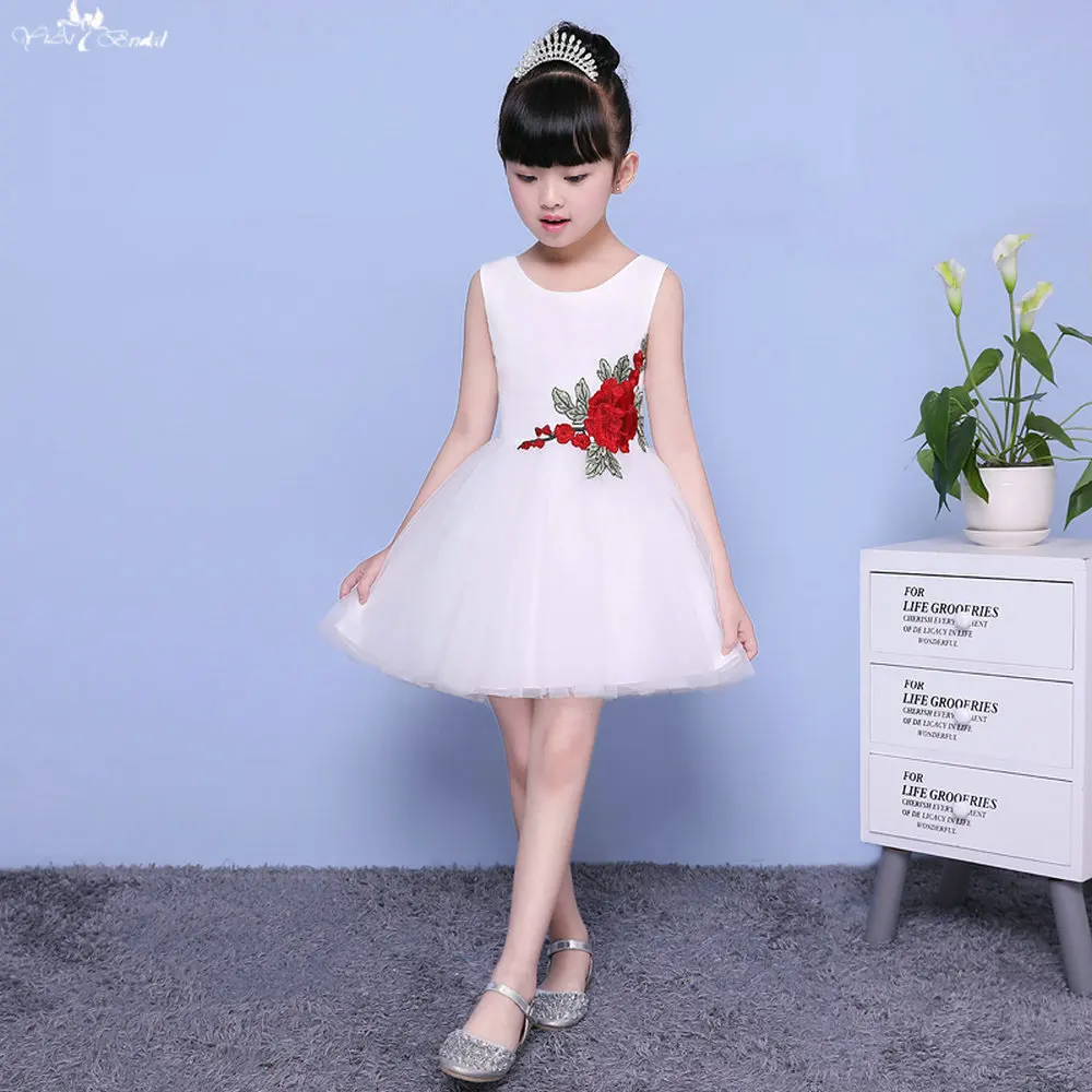 LZC009 (1)