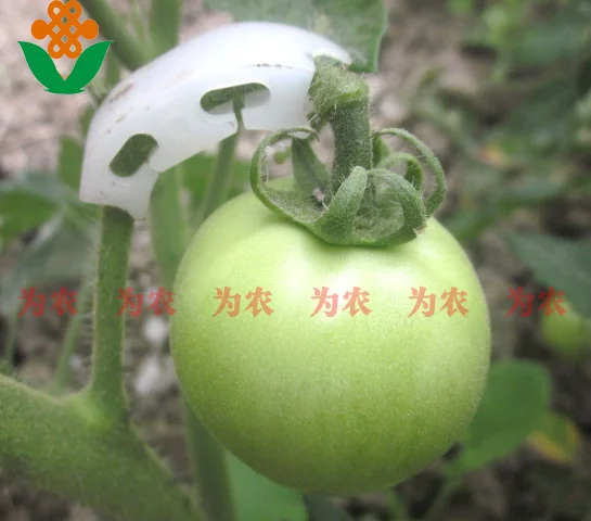 

50pcs Plastic Tomatoes Clamps Expedite Convenient Tomato Efficiency Clamp Fixing Fastening Clips Fixture Gardening Farming Clips