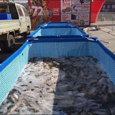 1008--571127371740_detail_2