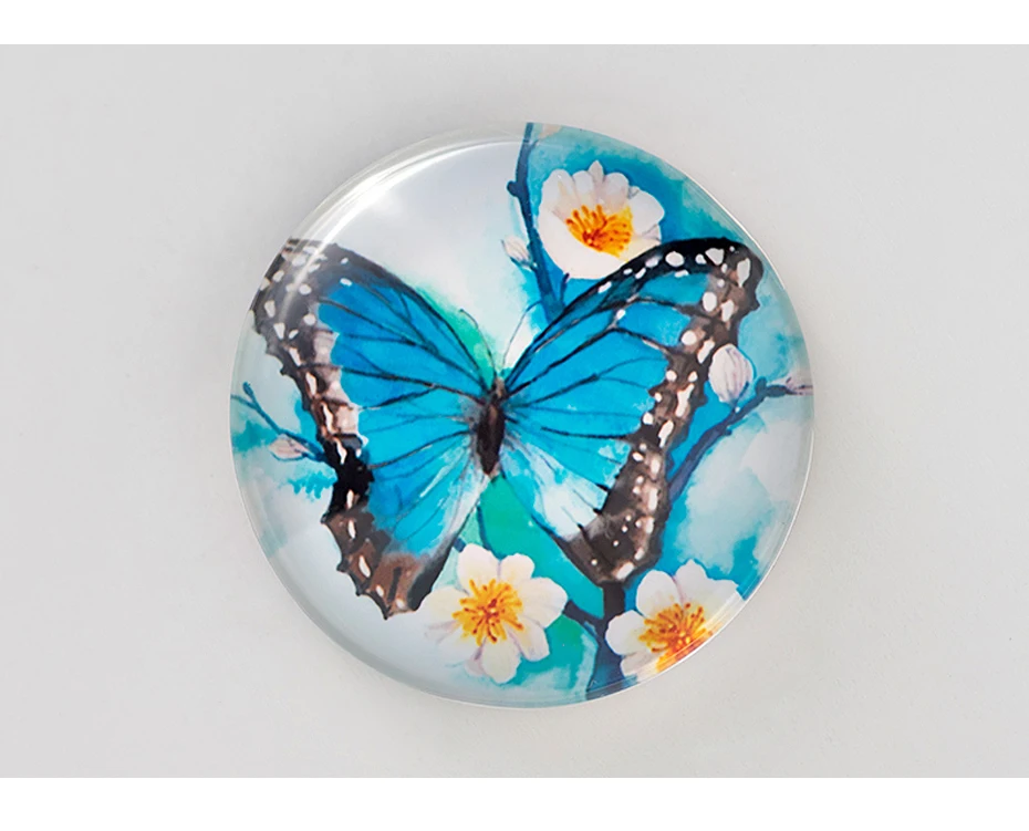 magnets for fridges 10