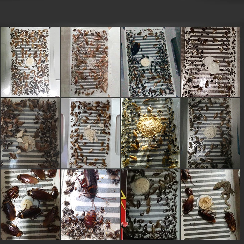 

1Pcs / 3Pcs Cockroach House Cockroach Trap Repellent Killing Bait Strong Sticky Catcher Traps Insect Pest Repeller Eco- friendly