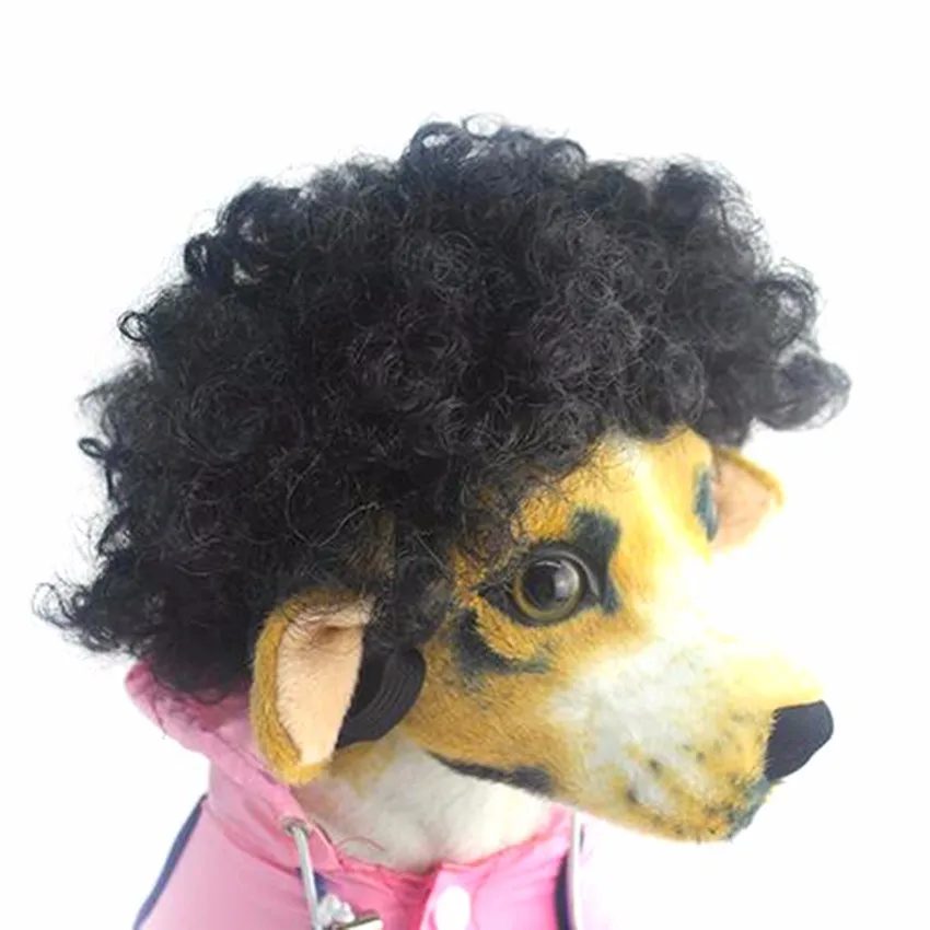 petwig906