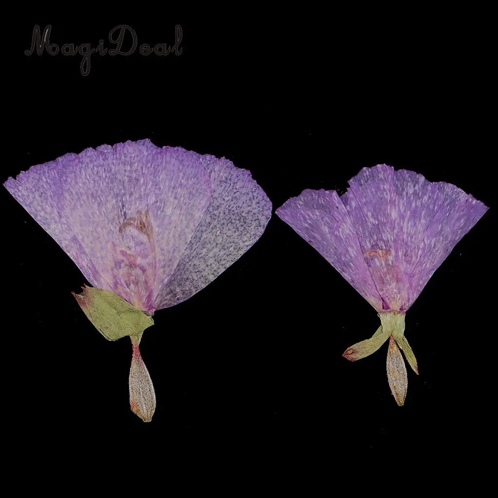 12pcs Beautiful Godetia Real Pressed Natural Dried Flowers for Art Craft Scrapbooking Card Making Resin Jewelry Making Craft DIY