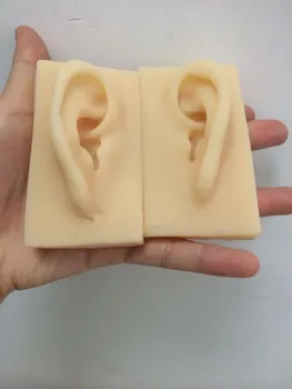 

Silicone ear structure model soft TPR ear model imitation human hearing demonstration props