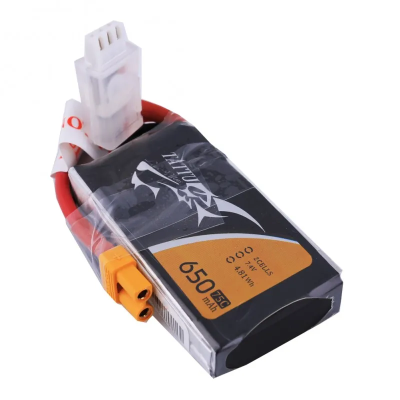 Lipo battery (2)