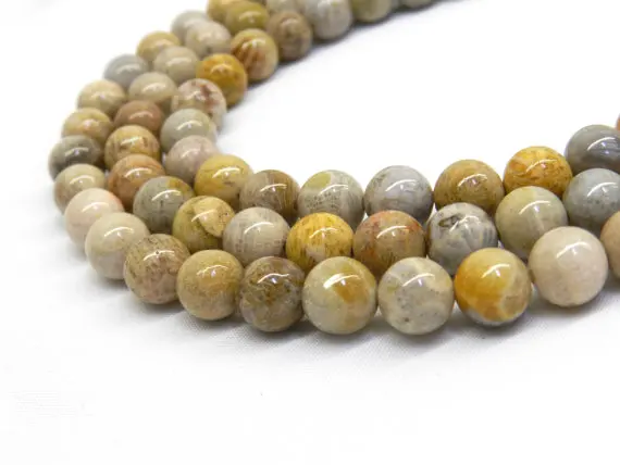 

One strand 100% Natural Fossil Coral Beads 4MM 6 MM 8MM 10MM 12MM Coral Round Semi Gem Stone Jewelry Loose Beads 15.5"/Strand