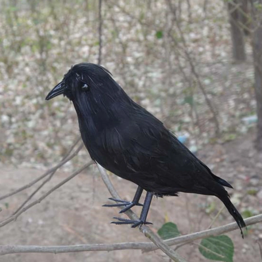 6 Pieces Set Foam Fake Black Crows Birds Ravens Ornaments Halloween Decor