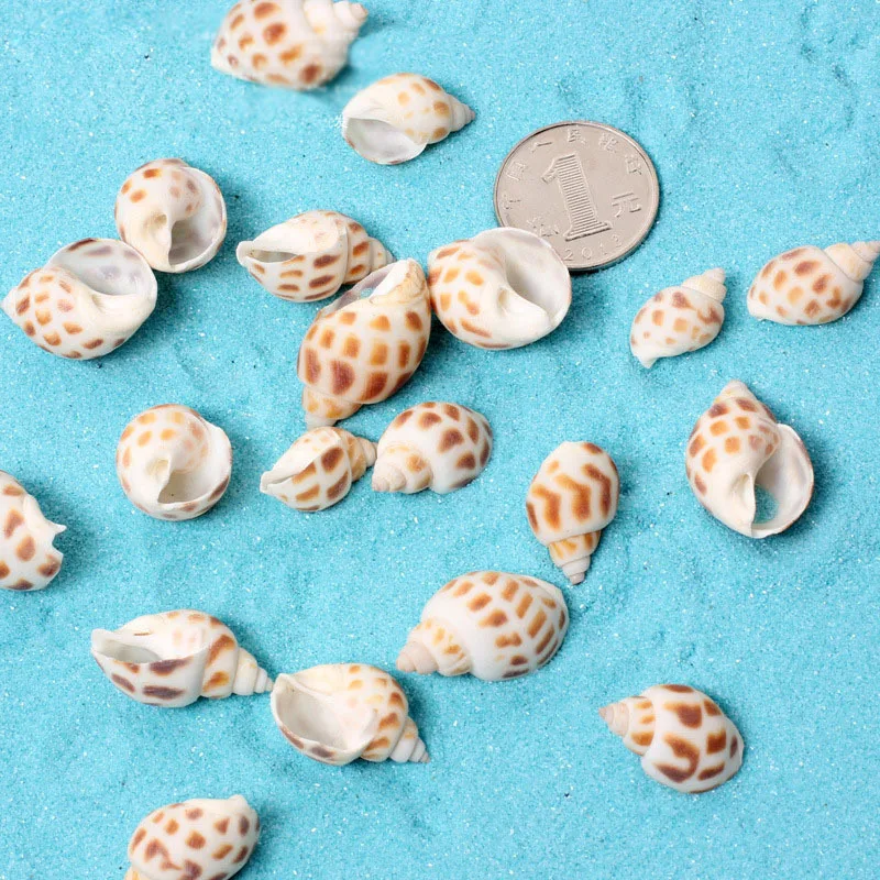 20pcs Natural Seashell Conch Miniature Fairy Garden Home Houses
