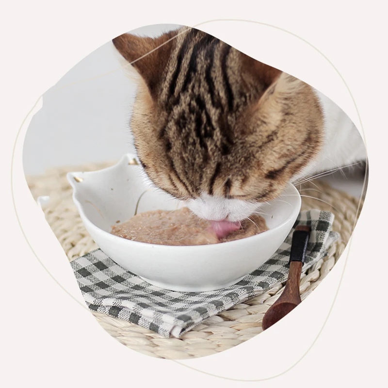 Керамическая миска для кошачьего корма @ HE кормушки домашних животных в форме