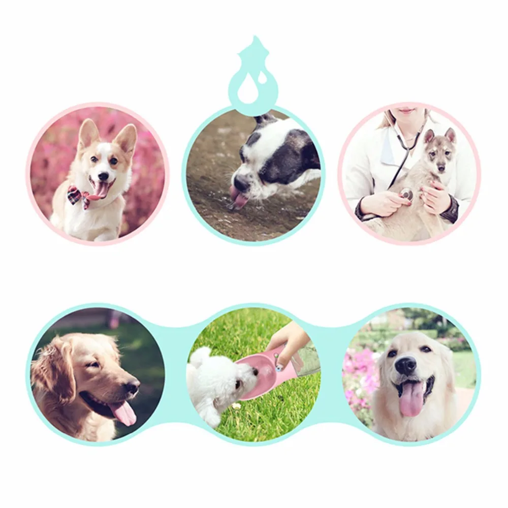 8492553764_119719238