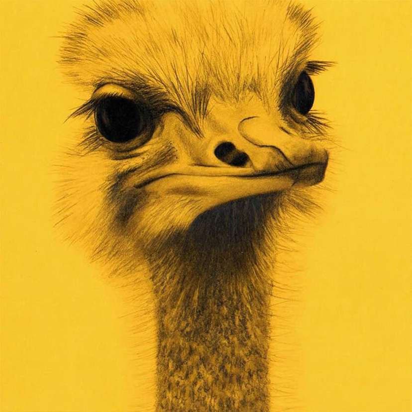 HTB1frADNpzqK1RjSZFvq6AB7VXas