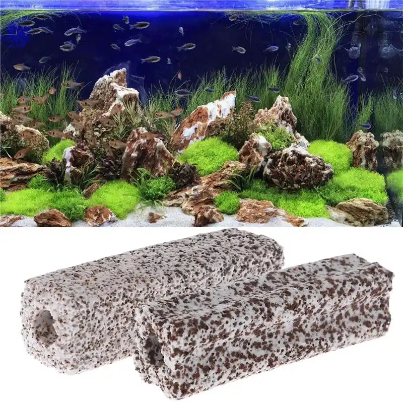 biological filtration freshwater aquarium